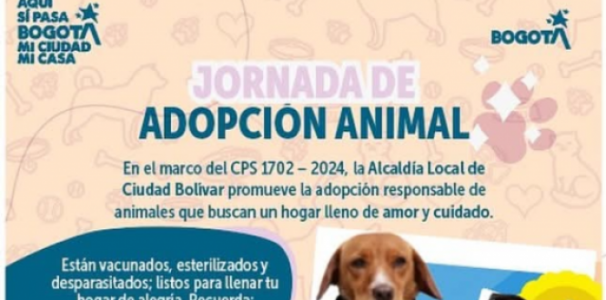 adopción jornada de adopcion
