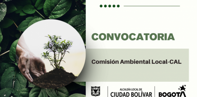 comisión ambiental local