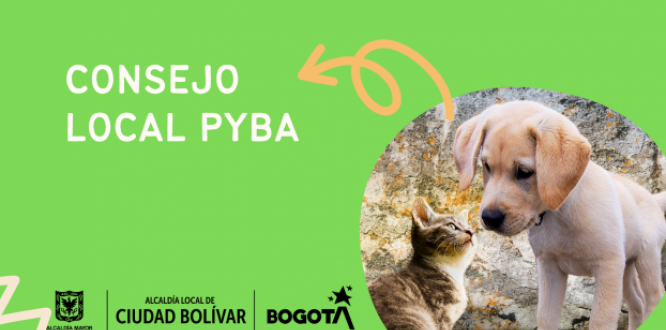 consejo pyba