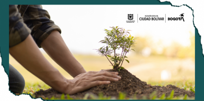 plan Ambiental local