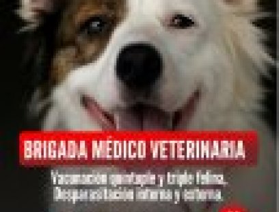 Brigada médico veterinaria