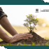 plan Ambiental local