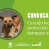 Elelcción consejovlocal de bienestar animal